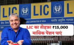 एलआईसी का बड़ा तोहफ़ा! ₹15,000 मासिक पेंशन से बुढ़ापे की टेंशन खत्म — जानिए पूरी LIC Pension स्कीम