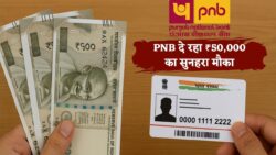 PNB ने निकाला स्पेशल ऑफर — आधार से सीधा ₹50,000 तक पाने का सुनहरा मौका, जल्दी करें